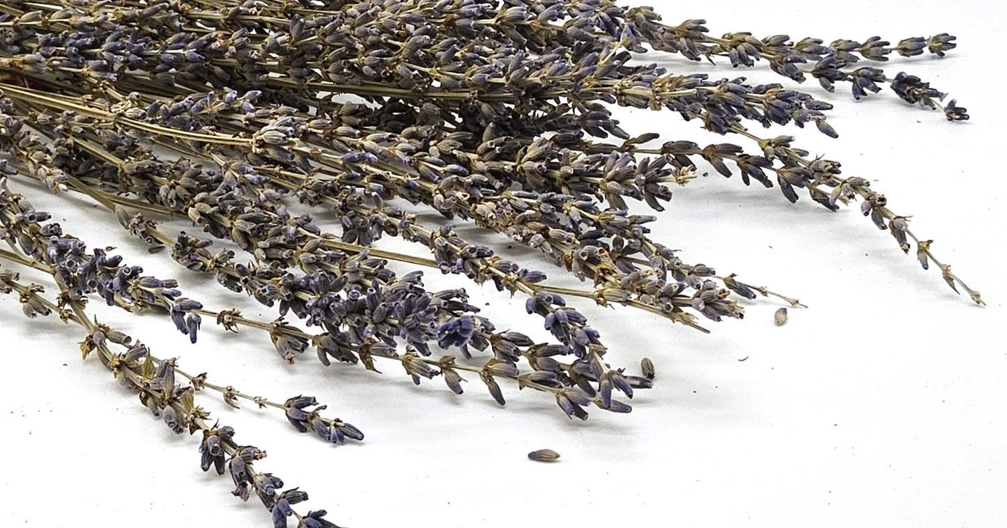Dried purple lavender buds and stems close-up showing natural botanical ingredient used in InspireByMK Hydro-Aloe Lavender Lotion for aromatherapy and skincare hydration