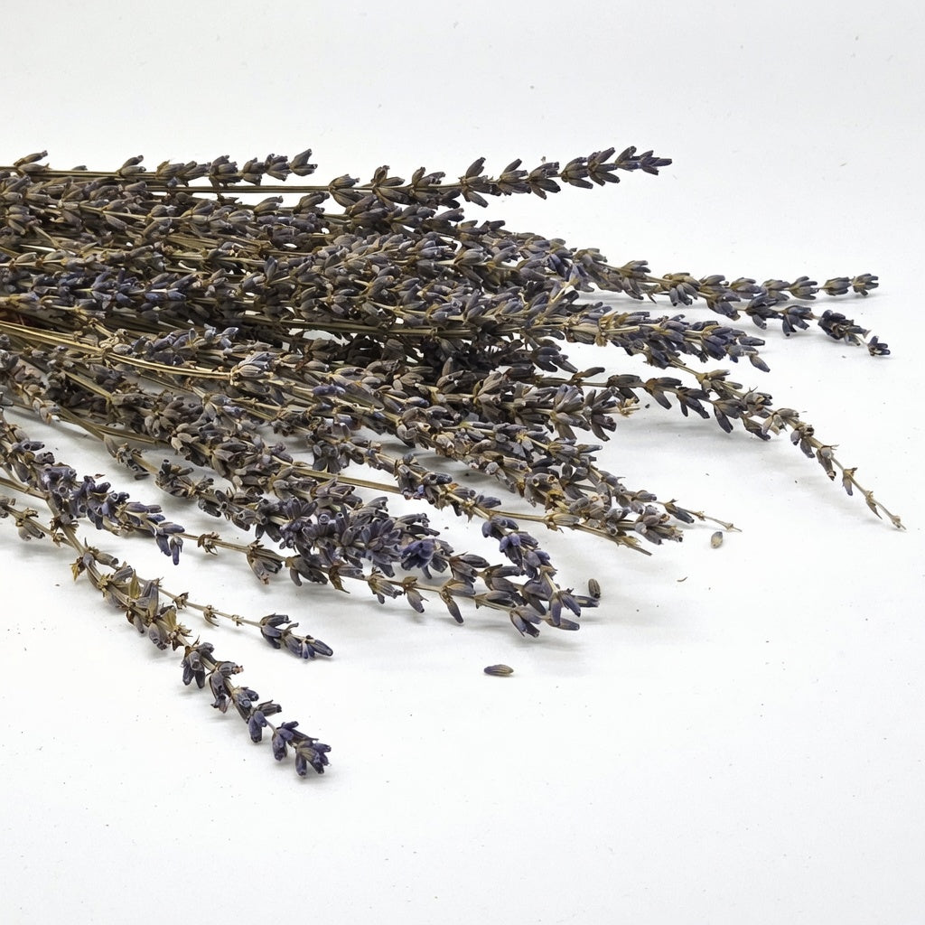 Dried purple lavender buds and stems close-up showing natural botanical ingredient used in InspireByMK Hydro-Aloe Lavender Lotion for aromatherapy and skincare hydration