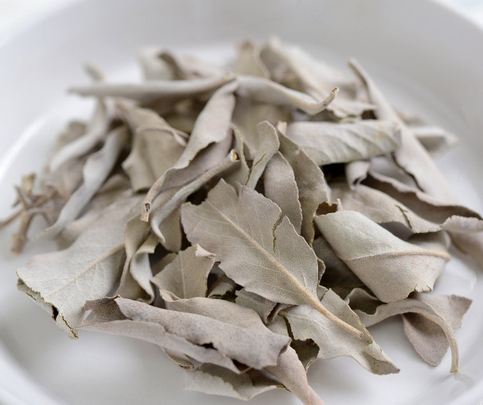 Hydrosol | White Sage