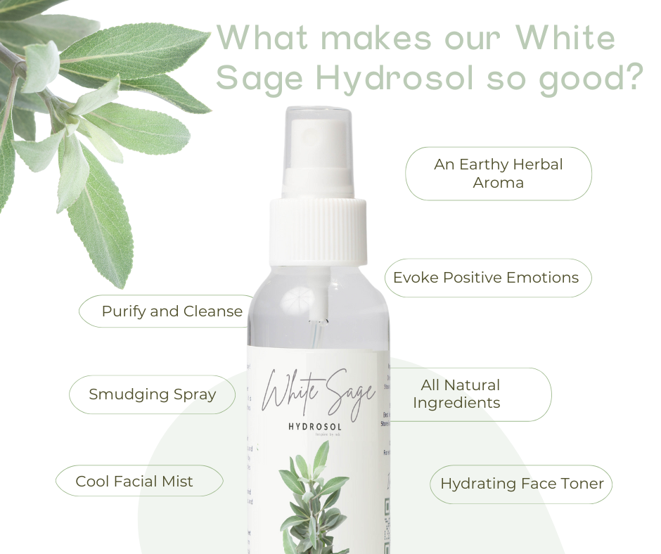 White Sage Hydrosol benefits infographic explaining purifying and cleansing properties, smudging spray, cool facial mist, earthy herbal aroma, and all-natural ingredients for spiritual and skincare use