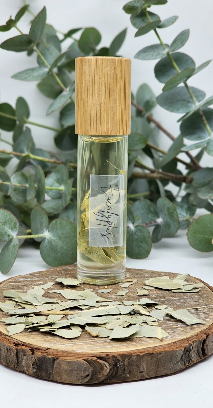 Eucalyptus essential oil roller bottle with dried leaves on wood slice, surrounded by fresh eucalyptus branches, natural aromatherapy product